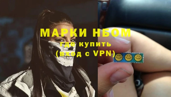 PSILOCYBIN Алзамай