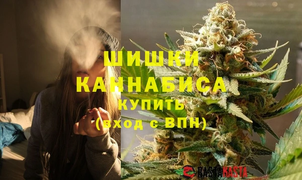 PSILOCYBIN Алзамай