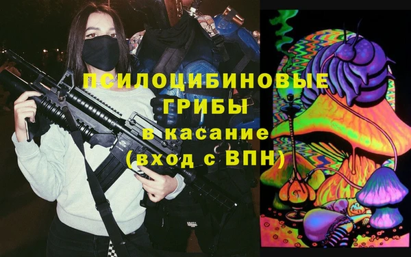 стаф Зеленодольск